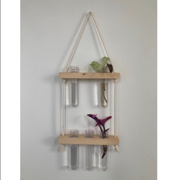 Hanging Propagation Station 🌱 - Picture 1 of 1